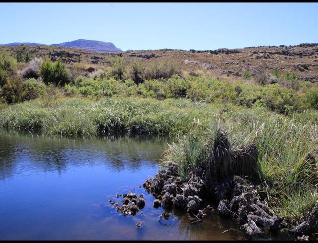 86HA FARM FOR SALE IN CERES RURAL